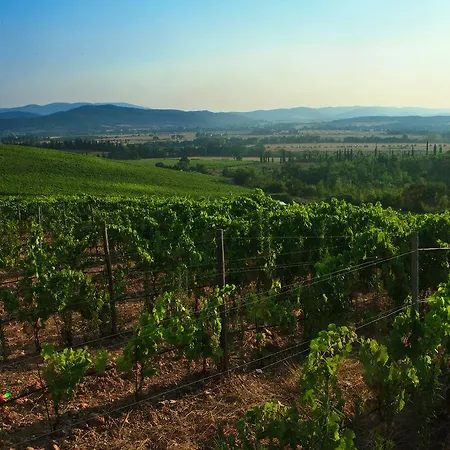 Agriturismo & Cantina Tenuta Casteani 3*