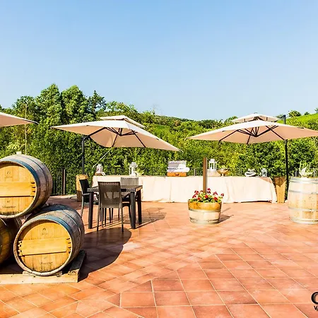 Agriturismo & Cantina Tenuta Casteani