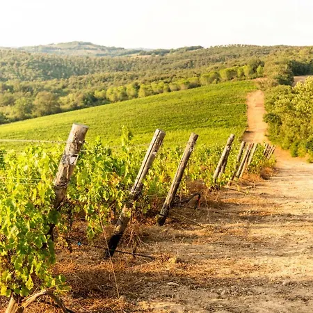 Ośrodek wypoczynkowy & Cantina Tenuta Casteani