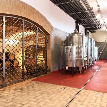 Resort Agriturismo & Cantina Tenuta Casteani 3*