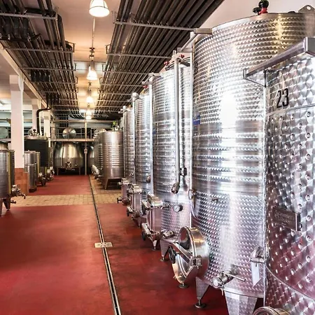 Agriturismo & Cantina Tenuta Casteani 3* Ribolla