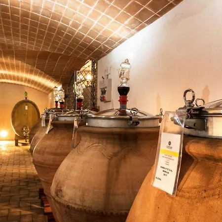 Agriturismo & Cantina Tenuta Casteani Ribolla