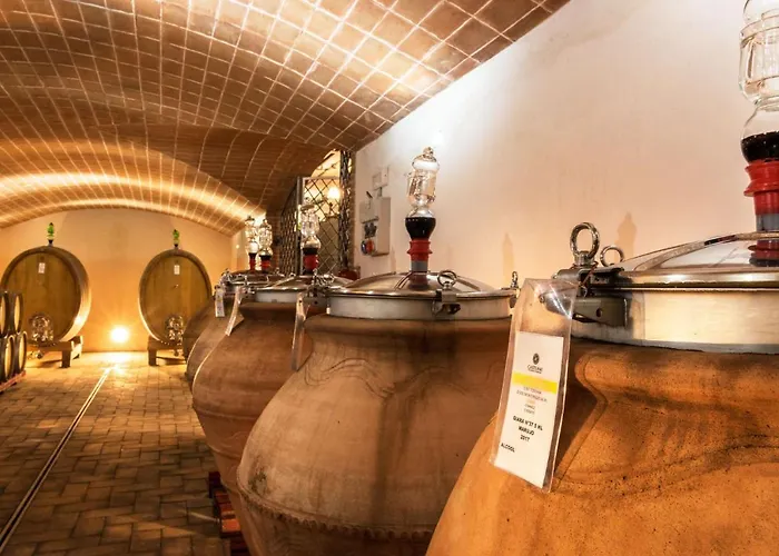& Cantina Tenuta Casteani Ribolla